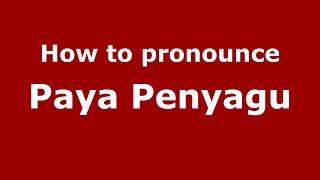 How to pronounce Paya Penyagu