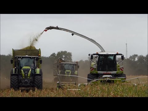 Claas-John Deere / Maissilge - Corn Silage 2018