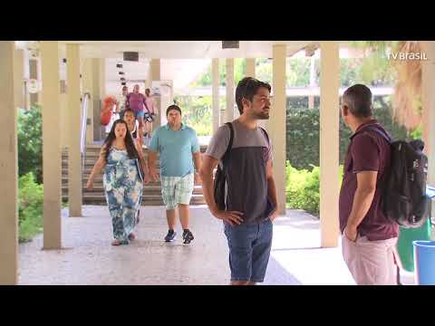 Constituição garante autonomia universitária