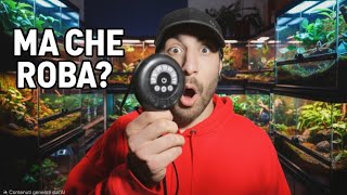 Provo Gadget Amazon per Rettili | Ep. 2