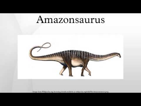 Amazonsaurus
