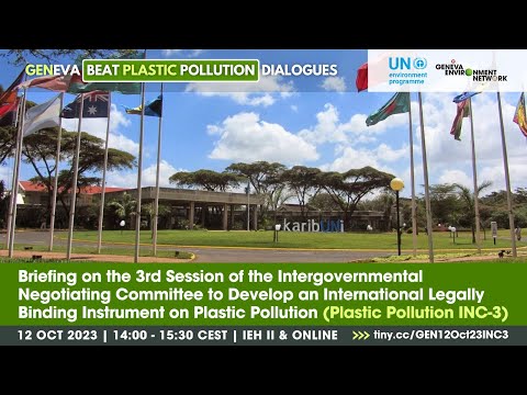 Briefing on Plastic Pollution INC-3