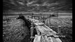 DR HOUSE & TEARS FOR ESBJÖRN   IiRO RANTALA