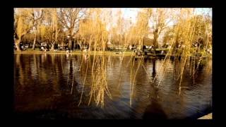 Headcase by Day Wave (Unofficial Music Video)