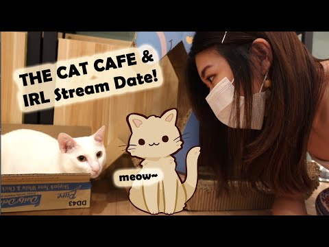 #3 VLOG - The Cat Cafe & IRL Stream Date!