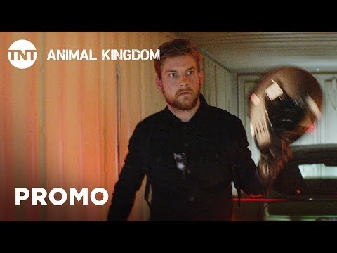 Animal Kingdom Season 3 (Promo 2)