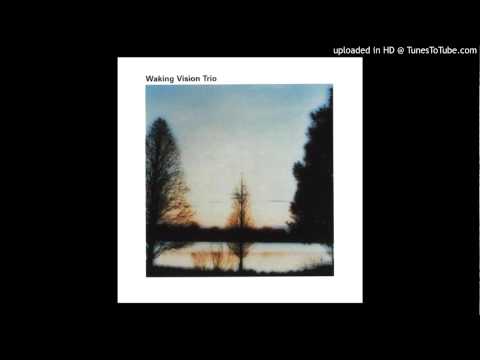 Waking Vision Trio - Moon Seagull