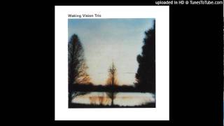 Waking Vision Trio - Moon Seagull