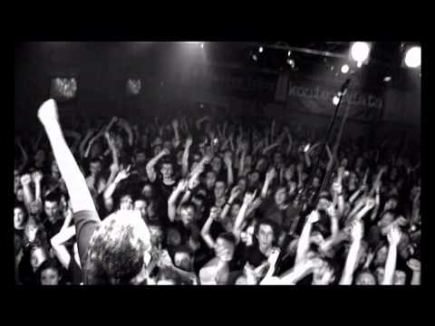 Zabili Mi Żółwia - Wiosna (official video)