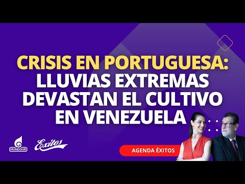 CRISIS EN PORTUGUESA: Lluvias extremas devastan el cultivo en Venezuela 🌾🌧️ | Agenda Éxitos