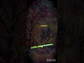Oru Thadavai Solvaya Vaseegara WhatsApp Status With Lyrics