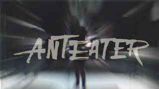 Video Anteater - Koncerty jaro/léto 2019
