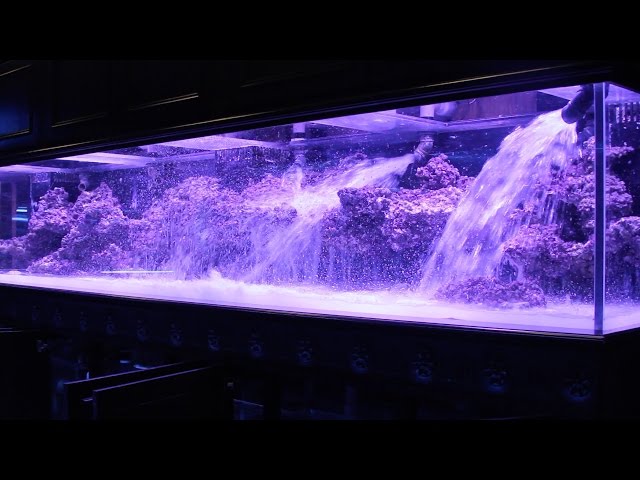 800 Aquarium pt2: Aquascape + Floating Shelf