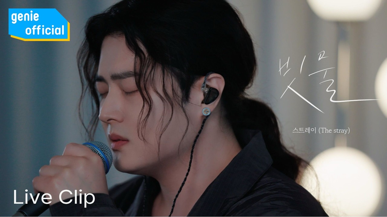 스트레이 (The Stray) - 빗물 Rainwater (Live Clip)