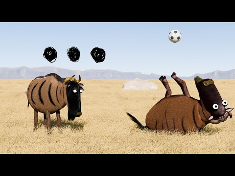 Savanna version - Football