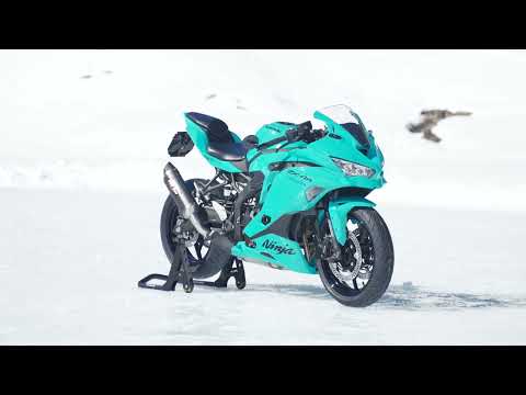 KAWASAKI NINJA ZX-4RR (35kW) MY27-video-4