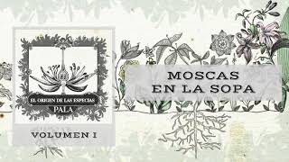 Moscas en la Sopa Music Video