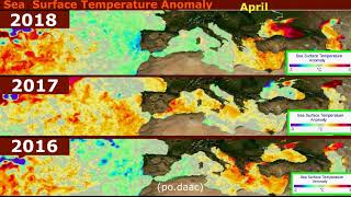 【Ocean】Sea Surface Temperature Anomaly/ 2015 - 2018       #ocean   #temperature 