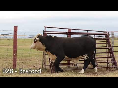 Advancing the Braford Breed Sale - Dec. 2020 - 928 DancingDiamond