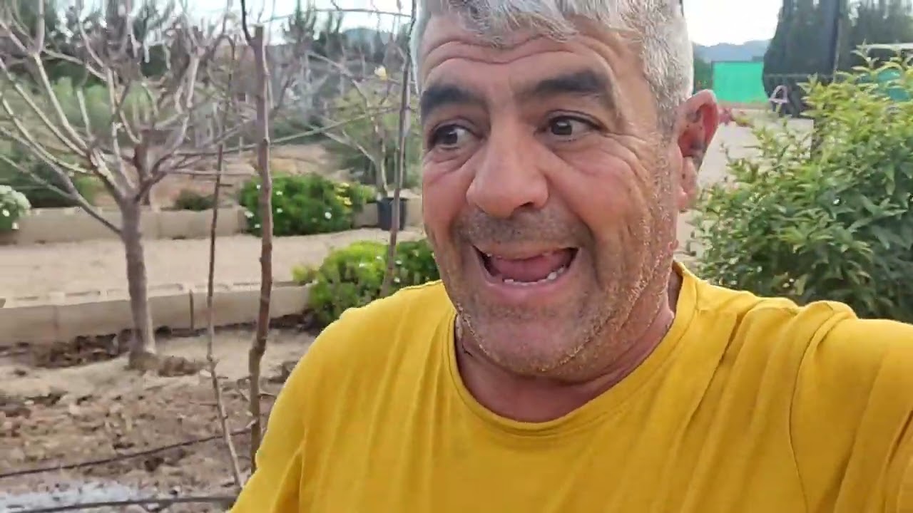 Watch Poda y evolución del peral desde su plantacion Now Poda y evolución del peral desde su plantacion