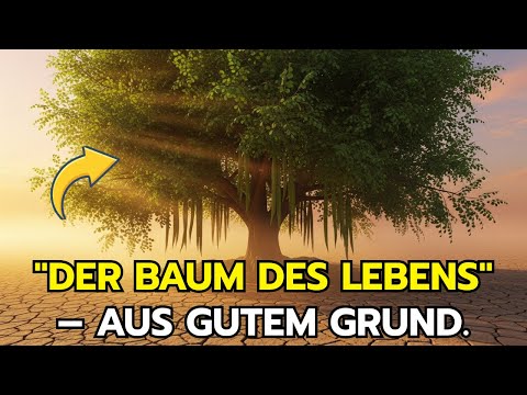 Der Baum, Der Multivitamine überflüssig Macht (Der vergessene Baum des Lebens)