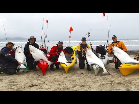 Huge Kayak Halibuts 5-16-15
