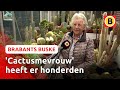 Betsie verzamelt al dertig jaar cactussen ? | Brabants Buske