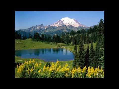 Martillo Vago - Por que no remix