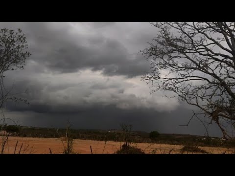 Retorno das chuvas em santa Maria do Cambuca - PE 
