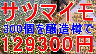 【ほの暮しの庭】さつまいも醸造樽の加工品の売れる出荷額の値段が凄い金策になるかも攻略実況