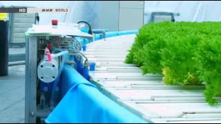 Amazing Hydroponic farm Japan Gandpa Dome