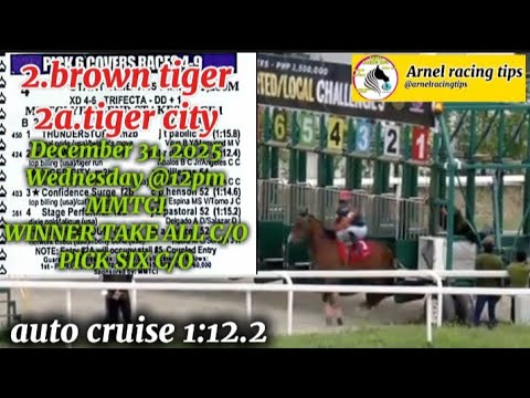 MMTCI ARNEL RACING TIPS WEDNESDAY @12:PM DECEMBER 31,2025@metroturfracingtv WTC C/O - PICK SIX C/O