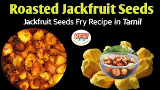 Roasted Jackfruit seeds |Jackfruit seeds fry recipe in tamil #How22 Jackfruit seed Varuval