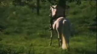 Blonde Redhead - Melody (French version)