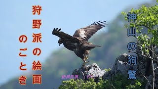 断崖絶壁の狗鷲Cliffs on the cliff