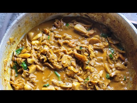 Katahar curry Cooked with Guyana Shrimp ( jack fruit)