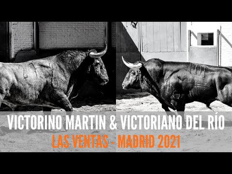 Corridas extraordinarias de Las Ventas – Madrid | Victorino – Victoriano del Río 2021