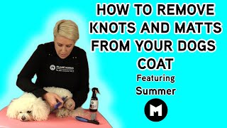 How to remove knots and matts from your dogs coat