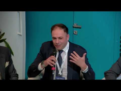 Plenaria istituzionale​ - Task Force Italia - 28 ottobre  2025