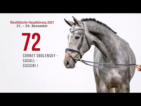 Hauptkörung 2021 Reitpferdehengste Kat-Nr. 72  Cornet Obolensky - Casall - Cassini I