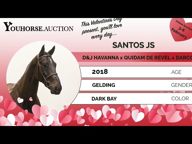 Santos D&J @ Try out