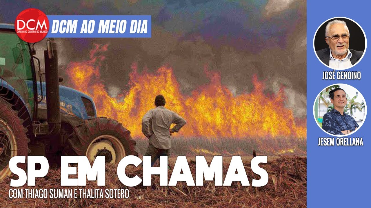 SP em emergência por conta de incêndios florestais; Dono do Telegram é preso, Musk é o próximo?