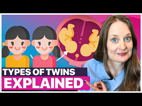 Everything You Need to Know About Twins (Types, Formation, Chances & Pregnancy Implications)