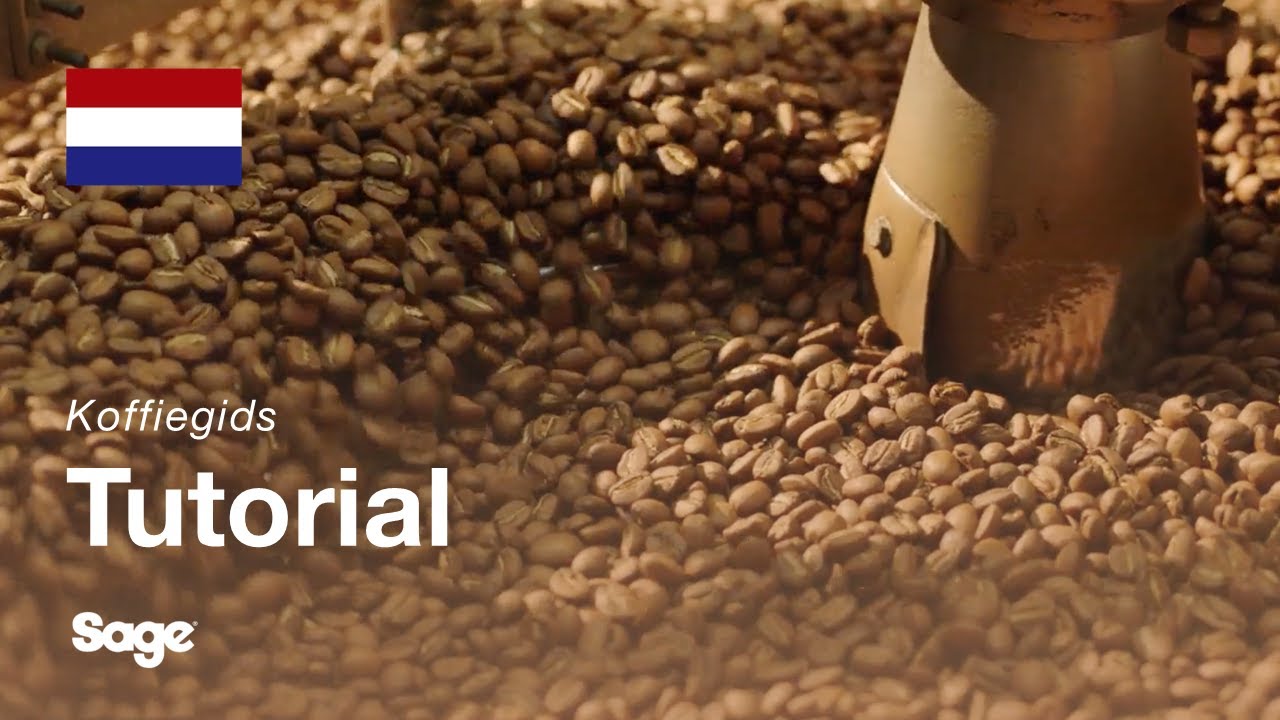 Instructiegids Breville koffie - De juiste bonen kiezen