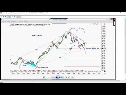 November 17th Trade What You See with Larry Pesavento on TFNN