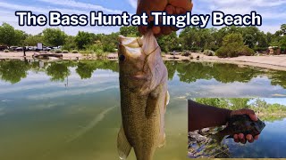 The Bass Hunt at Tingley Beach – Worth the Wait! #bassfishing #bluegill