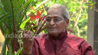 Kalamandalam Gopi on teaching styles of Kalamandalam