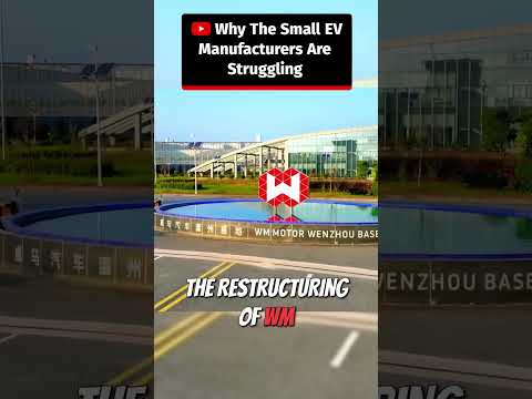 Thumbnail for Why The Small EV Manufacturers Are Struggling #shorts by Human Horizons