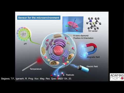 Quantum NV Sensors - Adamas Summary