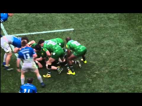 Leo Halavatau highlights